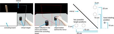 The Role of Haptic Expectations in Reaching to Grasp: From Pantomime to Natural Grasps and Back Again